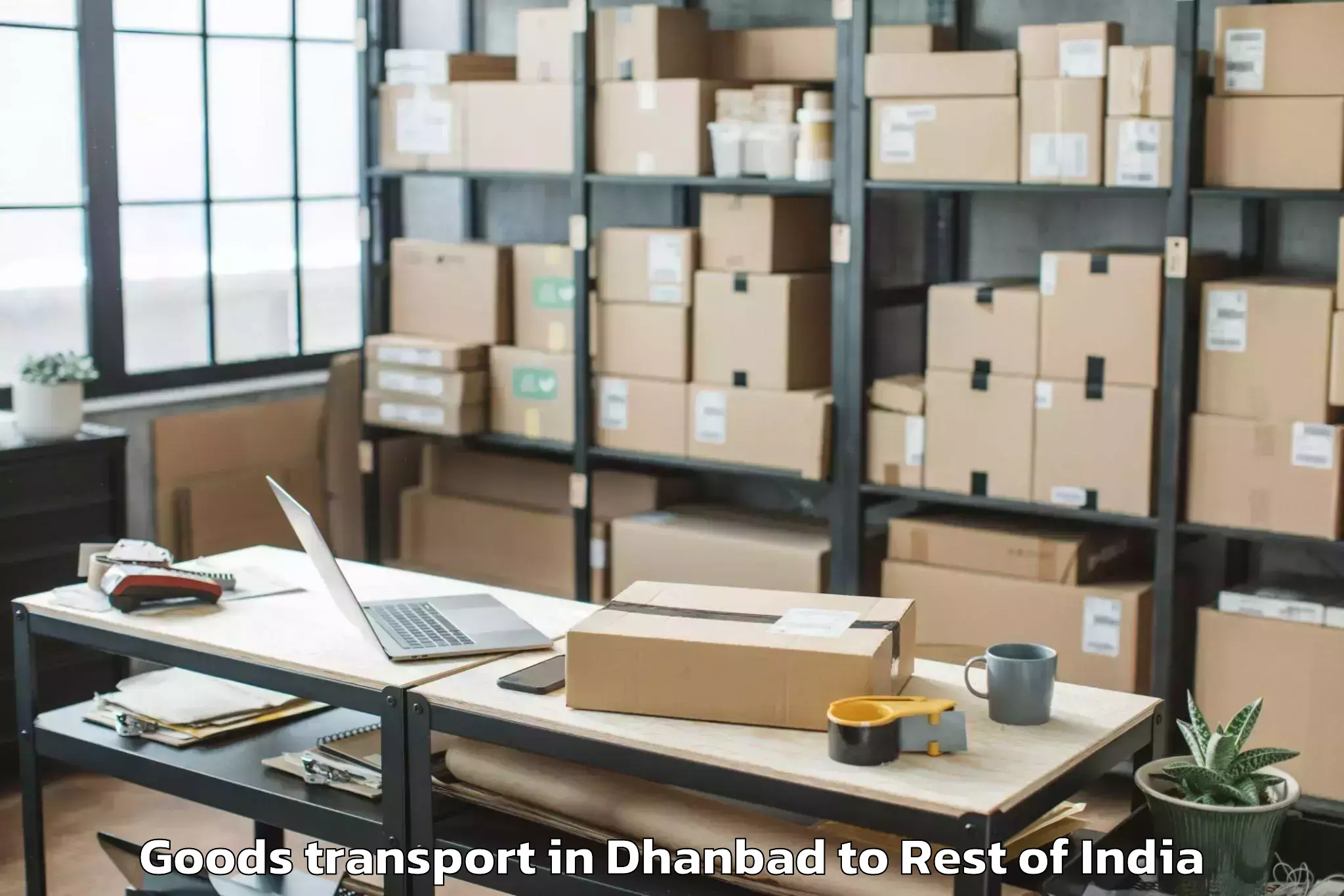 Trusted Dhanbad to Bishnah Goods Transport